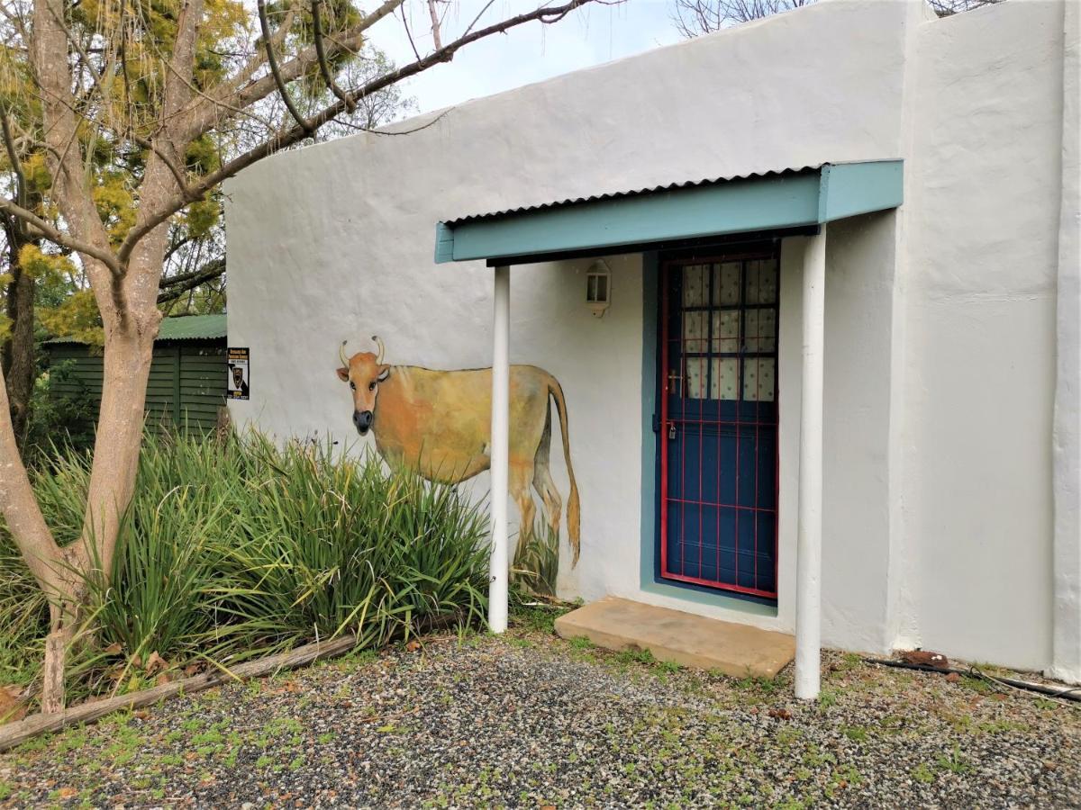 ホテル Studio Frangipani Solar Powered フレイトン エクステリア 写真